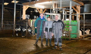 Des agriculteurs dans un bâtiment avec une vache qui entre dans un robot de traite