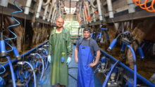 Deux hommes dans une salle de traite