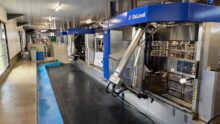 Des robots de traite de couleur bleue et de marque DeLaval