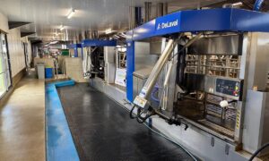 Des robots de traite de couleur bleue et de marque DeLaval