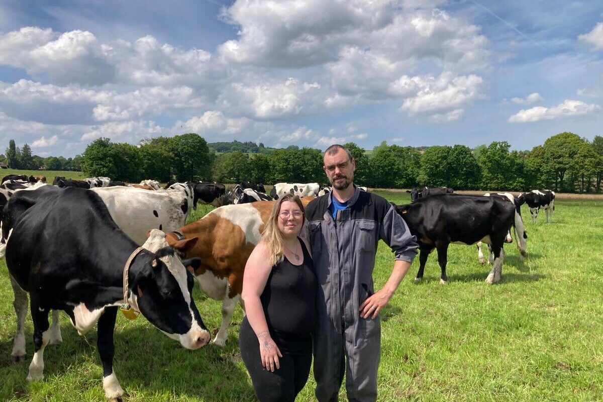 Un couple dans un champ avec des vaches - Illustration Dans le pic de travail printanier