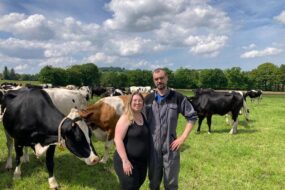 Un couple dans un champ avec des vaches
