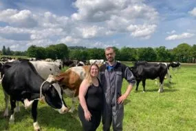 Un couple dans un champ avec des vaches