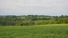 Un paysage de bocage