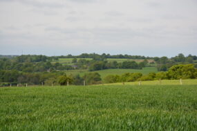 Un paysage de bocage