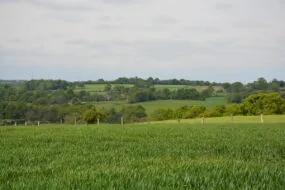 Un paysage de bocage