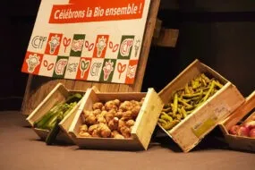 Légumes bio dans des cagettes