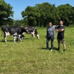 Une femme et un homme dans une prairie avec des vaches Holstein et un veau.