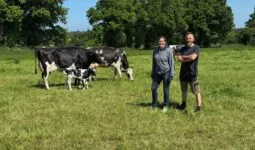 Une femme et un homme dans une prairie avec des vaches Holstein et un veau.