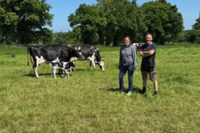 Une femme et un homme dans une prairie avec des vaches Holstein et un veau.