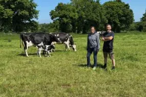 Une femme et un homme dans une prairie avec des vaches Holstein et un veau.