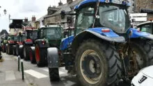 File de tracteurs dans la rue