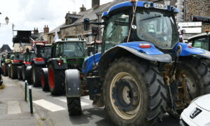 File de tracteurs dans la rue