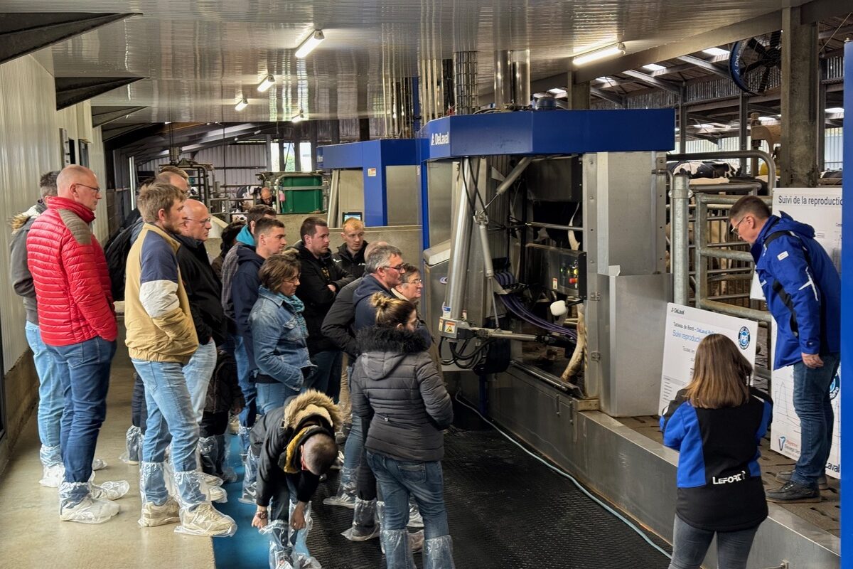 Un groupe de personnes devant un robot de traite - Illustration À l’heure de la traite
