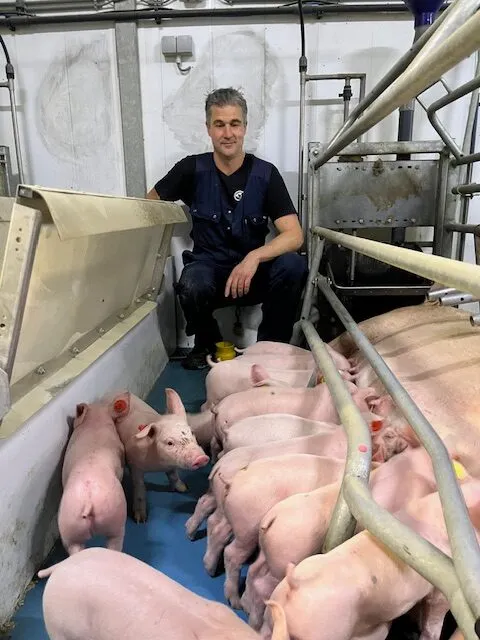 Un homme avec des porcelets