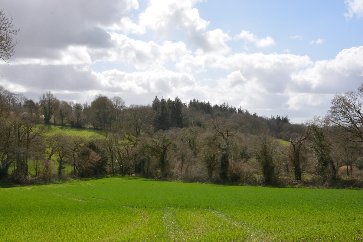 Bocage typique du Centre-Bretagne