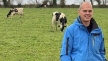Un homme souriant devant trois vaches Holstein au pâturage
