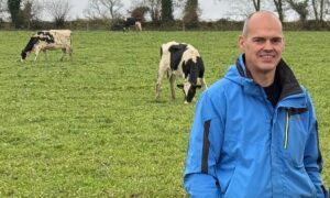 Un homme souriant devant trois vaches Holstein au pâturage