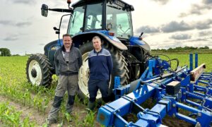 Deux personnes devant un tracteur dans un champ de maïs.