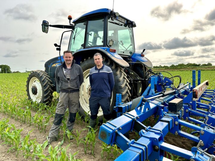 Deux personnes devant un tracteur dans un champ de maïs.