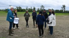 Un groupe sur une parcelle agricole du marais noir de Dol