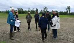 Un groupe sur une parcelle agricole du marais noir de Dol