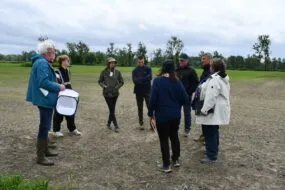 Un groupe sur une parcelle agricole du marais noir de Dol