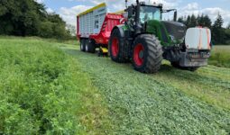 Un tracteur équipée d'un remorque autochargeuse dans une parcelle de luzerne