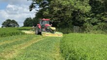 Un tracteur rouge équipé d'un groupe de fauche dans une parcelle de luzerne