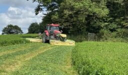 Un tracteur rouge équipé d'un groupe de fauche dans une parcelle de luzerne