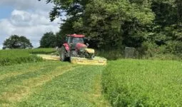 Un tracteur rouge équipé d'un groupe de fauche dans une parcelle de luzerne