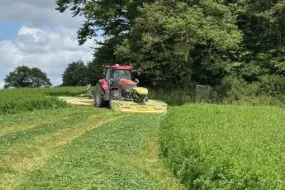 Un tracteur rouge équipé d'un groupe de fauche dans une parcelle de luzerne