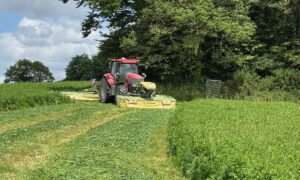 Un tracteur rouge équipé d'un groupe de fauche dans une parcelle de luzerne