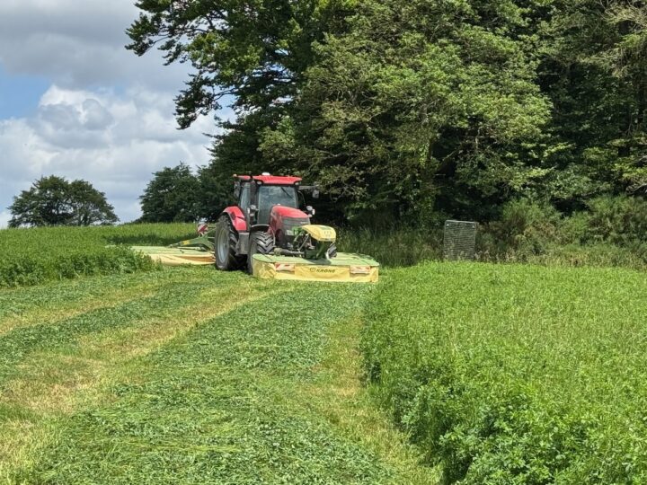 Un tracteur rouge équipé d'un groupe de fauche dans une parcelle de luzerne