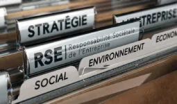 Des étiquettes dans un classeur de rangement de dossier