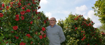 Michel Corlay parmis ses plants de camélias