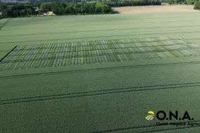 Vue aérienne d'une parcelle de test de culture
