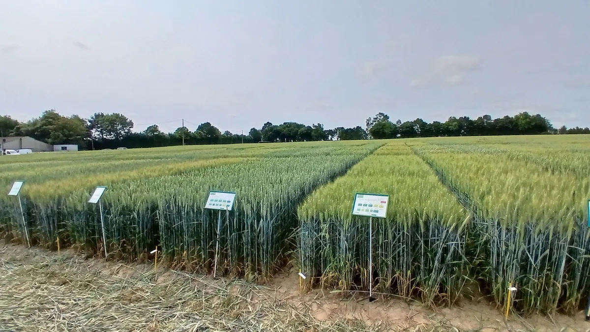 Parcelle de démonstration