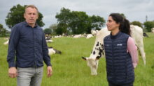 Un homme et une femme dans un champ avec des vaches
