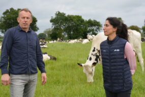 Un homme et une femme dans un champ avec des vaches