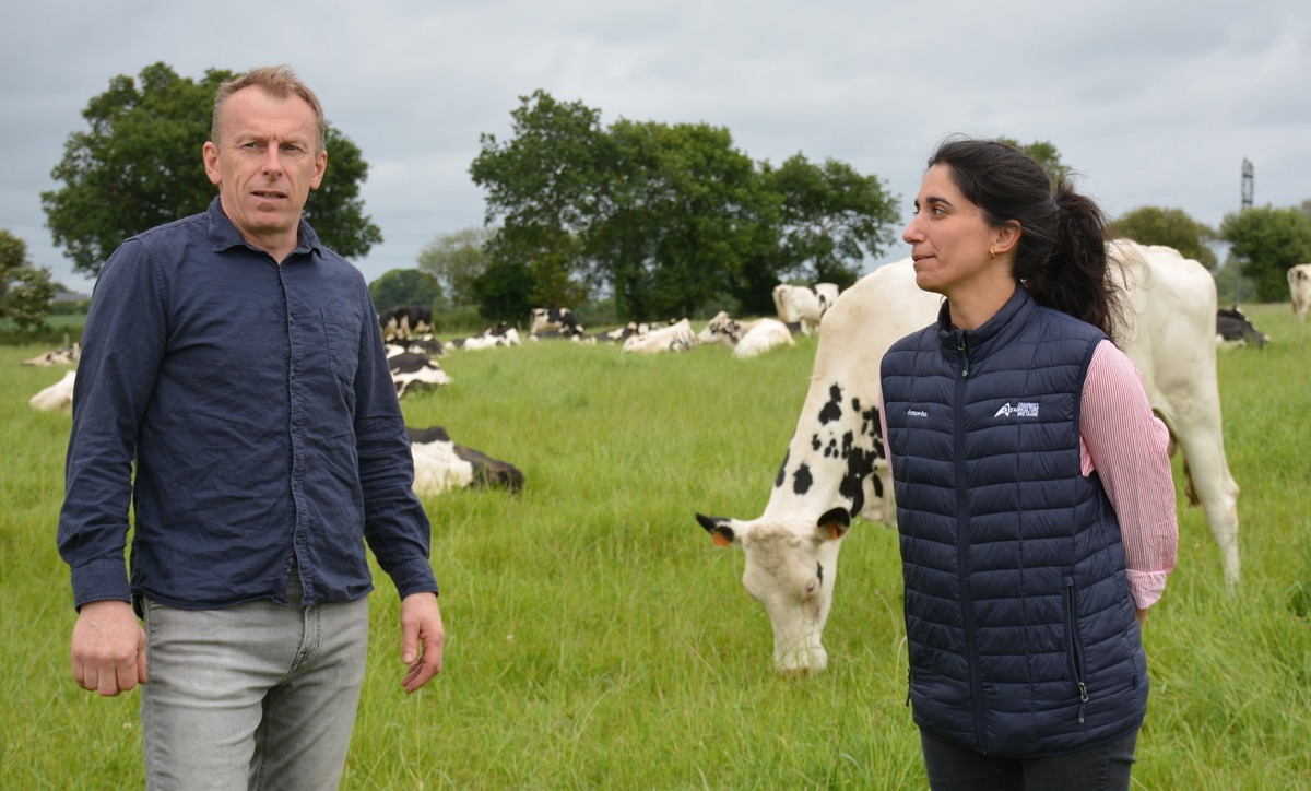 Un homme et une femme dans un champ avec des vaches - Illustration Les échanges génèrent sérénité et revenu
