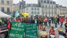 Manifestants dans la rue