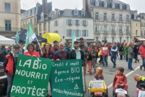 Manifestants dans la rue