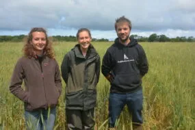 Deux femmes et un homme dans un champ de blé