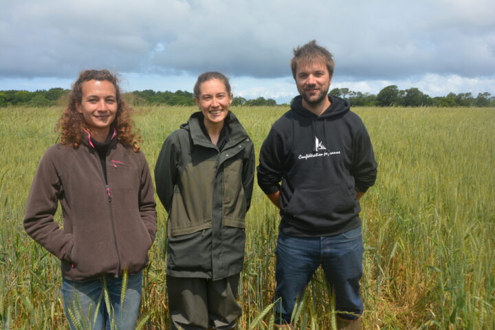 Deux femmes et un homme dans un champ de blé