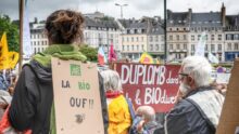 Des manifestants dans la rue
