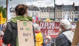 Des manifestants dans la rue
