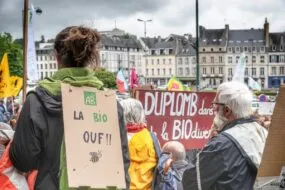 Des manifestants dans la rue