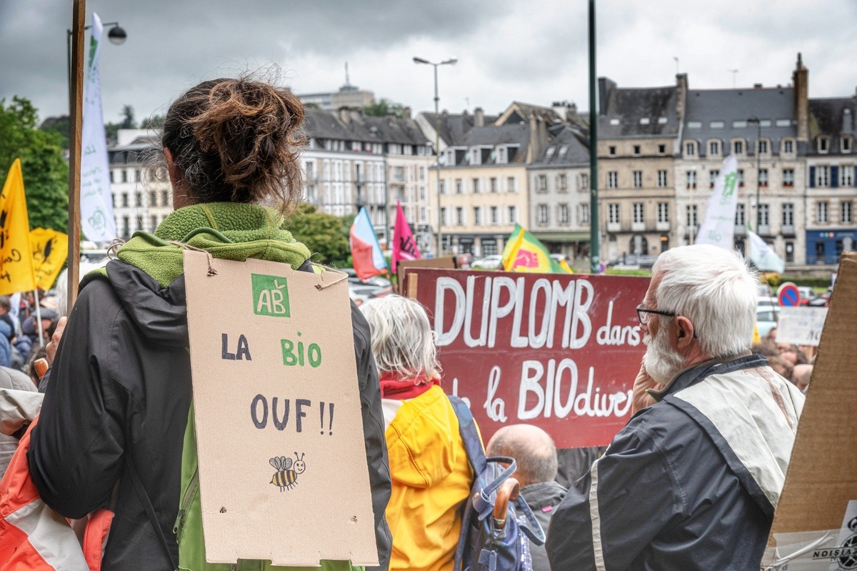Des manifestants dans la rue - Illustration Une mobilisation pour soutenir la filière