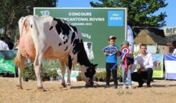 Un homme, deux enfants et une vache lors de la remise des prix d'un concours bovin
